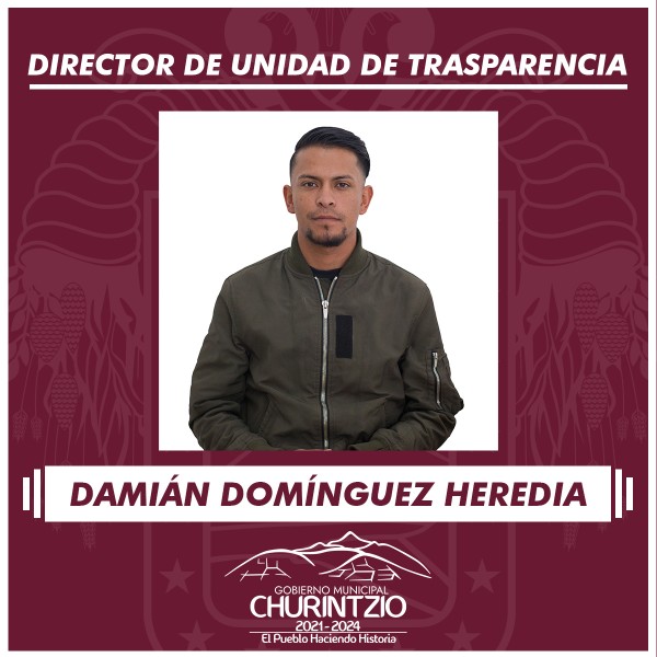 DIRECTOR DE UNIDAD DE TRANSPARENCIA